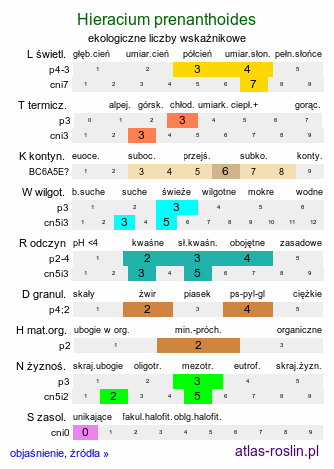 ekologiczne liczby wskaźnikowe Hieracium prenanthoides (jastrzębiec przenętowaty)