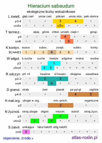 ekologiczne liczby wskaźnikowe Hieracium sabaudum (jastrzębiec sabaudzki)