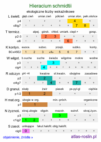 ekologiczne liczby wskaźnikowe Hieracium schmidtii (jastrzębiec blady)