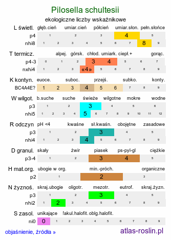 ekologiczne liczby wskaźnikowe Pilosella schultesii (kosmaczek Schultesa)