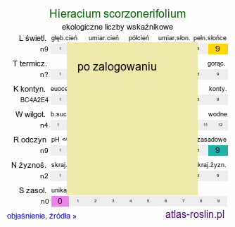 ekologiczne liczby wskaźnikowe Hieracium scorzonerifolium (jastrzębiec wężymordolistny)