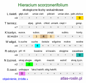 ekologiczne liczby wskaźnikowe Hieracium scorzonerifolium (jastrzębiec wężymordolistny)