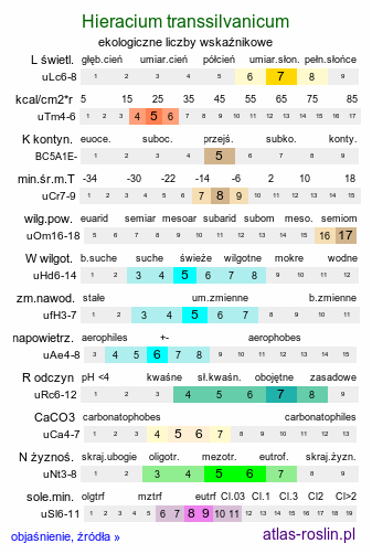 ekologiczne liczby wskaźnikowe Hieracium transsilvanicum (jastrzębiec siedmiogrodzki)