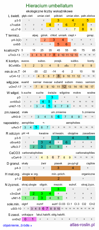 ekologiczne liczby wskaźnikowe Hieracium umbellatum (jastrzębiec baldaszkowaty)