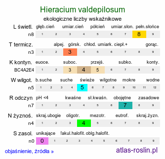 ekologiczne liczby wskaźnikowe Hieracium valdepilosum (jastrzębiec włochaty)