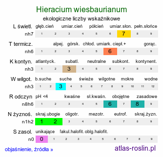 ekologiczne liczby wskaźnikowe Hieracium wiesbaurianum (jastrzębiec Wiesbaura)