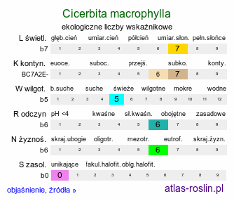 ekologiczne liczby wskaźnikowe Cicerbita macrophylla (modrzyk wielkolistny)