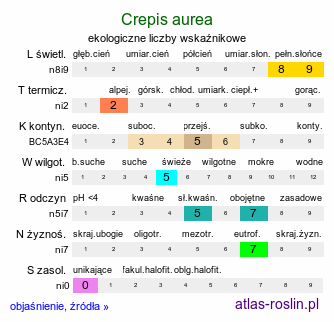 ekologiczne liczby wskaźnikowe Crepis aurea (pępawa złota)