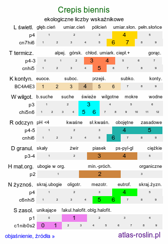 ekologiczne liczby wskaźnikowe Crepis biennis (pępawa dwuletnia)