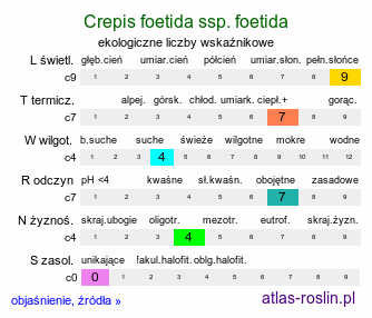 ekologiczne liczby wskaźnikowe Crepis foetida ssp. foetida (pępawa cuchnąca)