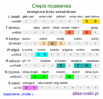 ekologiczne liczby wskaźnikowe Crepis nicaeensis (pępawa nicejska)