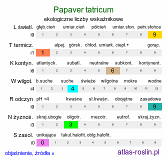 ekologiczne liczby wskaźnikowe Papaver tatricum (mak tatrzański)