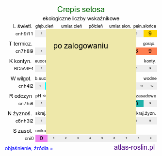 ekologiczne liczby wskaźnikowe Crepis setosa (pępawa szczeciniasta)