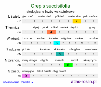 ekologiczne liczby wskaźnikowe Crepis succisifolia (pępawa czarcikęsolistna)