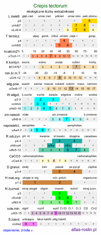 ekologiczne liczby wskaźnikowe Crepis tectorum (pępawa dachowa)
