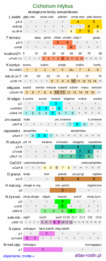 ekologiczne liczby wskaźnikowe Cichorium intybus (cykoria podróżnik)