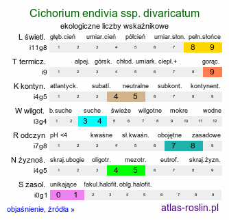 ekologiczne liczby wskaźnikowe Cichorium endivia ssp. divaricatum