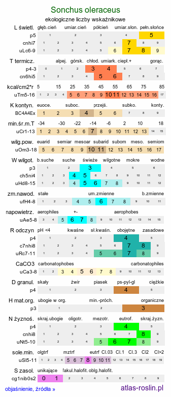 ekologiczne liczby wskaźnikowe Sonchus oleraceus (mlecz zwyczajny)