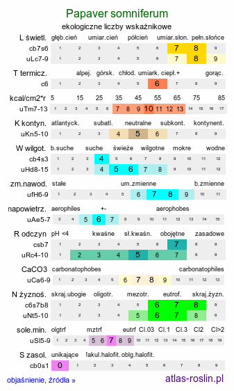 ekologiczne liczby wskaźnikowe Papaver somniferum (mak lekarski)