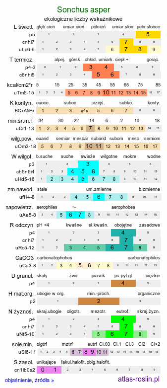 ekologiczne liczby wskaźnikowe Sonchus asper (mlecz kolczasty)