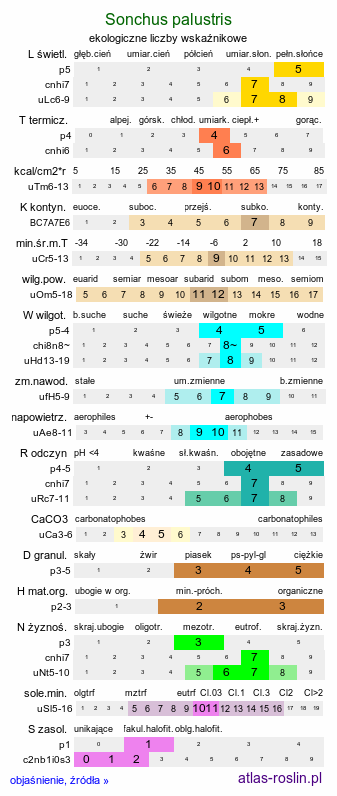 ekologiczne liczby wskaźnikowe Sonchus palustris (mlecz błotny)