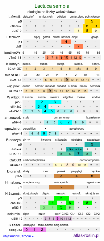 ekologiczne liczby wskaźnikowe Lactuca serriola (sałata kompasowa)