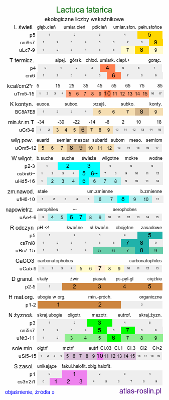 ekologiczne liczby wskaźnikowe Lactuca tatarica (sałata tatarska)