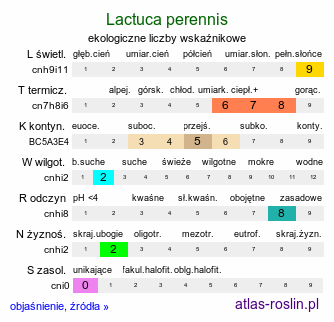 ekologiczne liczby wskaźnikowe Lactuca perennis (sałata trwała)