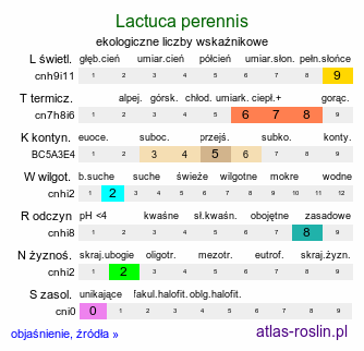 ekologiczne liczby wskaźnikowe Lactuca perennis (sałata trwała)