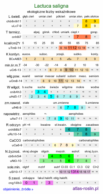 ekologiczne liczby wskaźnikowe Lactuca saligna (sałata solna)