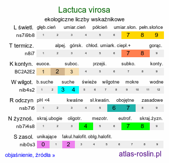 ekologiczne liczby wskaźnikowe Lactuca virosa (sałata jadowita)