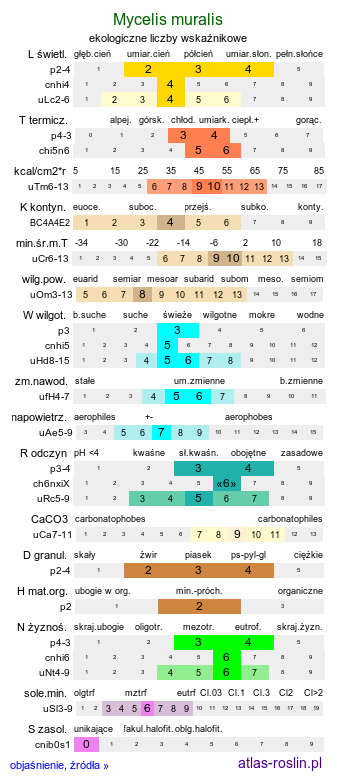 ekologiczne liczby wskaźnikowe Mycelis muralis (sałatnik leśny)