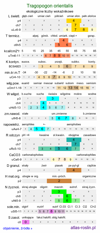 ekologiczne liczby wskaźnikowe Tragopogon orientalis (kozibród wschodni)