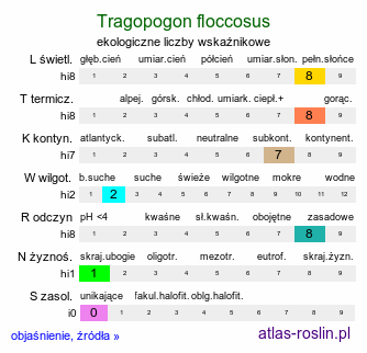 ekologiczne liczby wskaźnikowe Tragopogon floccosus (kozibród pajęczynowaty)