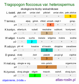 ekologiczne liczby wskaźnikowe Tragopogon floccosus var. heterospermus (kozibród pajęczynowaty różnonasienny)