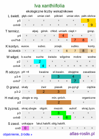 ekologiczne liczby wskaźnikowe Cyclachaena xanthiifolia (iwa rzepieniolistna)