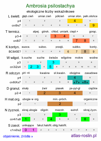 ekologiczne liczby wskaźnikowe Ambrosia psilostachya (ambrozja zachodnia)