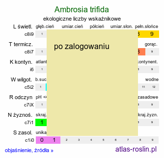 ekologiczne liczby wskaźnikowe Ambrosia trifida (ambrozja trójdzielna)