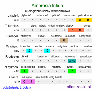 ekologiczne liczby wskaźnikowe Ambrosia trifida (ambrozja trójdzielna)