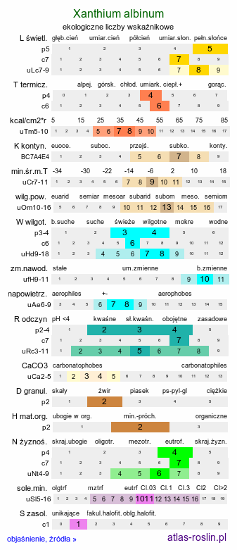 ekologiczne liczby wskaźnikowe Xanthium albinum (rzepień włoski)