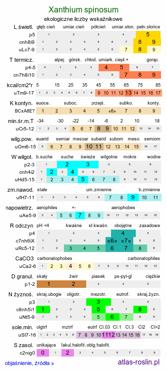 ekologiczne liczby wskaźnikowe Xanthium spinosum (rzepień kolczasty)