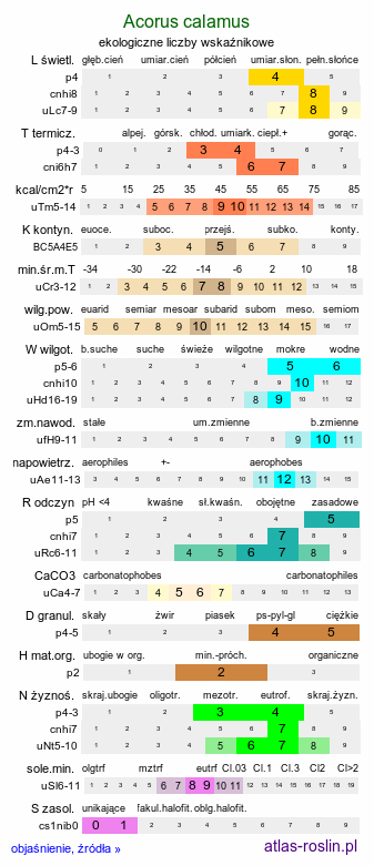 ekologiczne liczby wskaźnikowe Acorus calamus (tatarak zwyczajny)