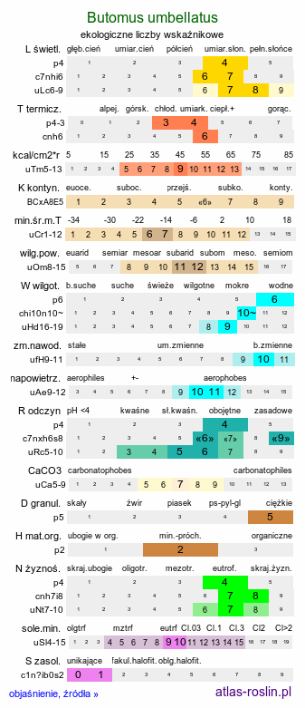 ekologiczne liczby wskaźnikowe Butomus umbellatus (łączeń baldaszkowy)