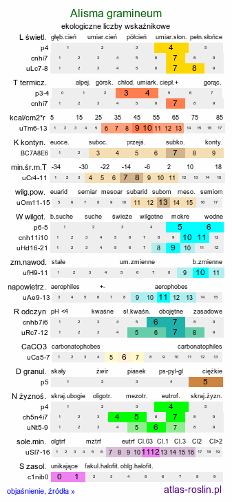 ekologiczne liczby wskaźnikowe Alisma gramineum (żabieniec trawolistny)