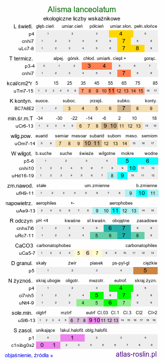 ekologiczne liczby wskaźnikowe Alisma lanceolatum (żabieniec lancetowaty)