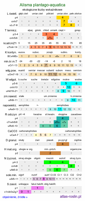 ekologiczne liczby wskaźnikowe Alisma plantago-aquatica (żabieniec babka wodna)