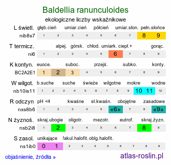 ekologiczne liczby wskaźnikowe Baldellia ranunculoides (żabienica jaskrowata)