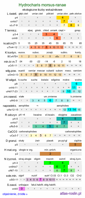 ekologiczne liczby wskaźnikowe Hydrocharis morsus-ranae (żabiściek pływający)