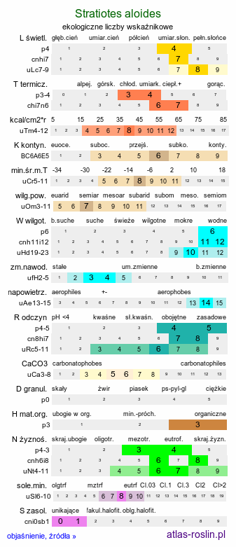 ekologiczne liczby wskaźnikowe Stratiotes aloides (osoka aloesowata)