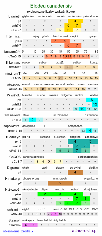 ekologiczne liczby wskaźnikowe Elodea canadensis (moczarka kanadyjska)